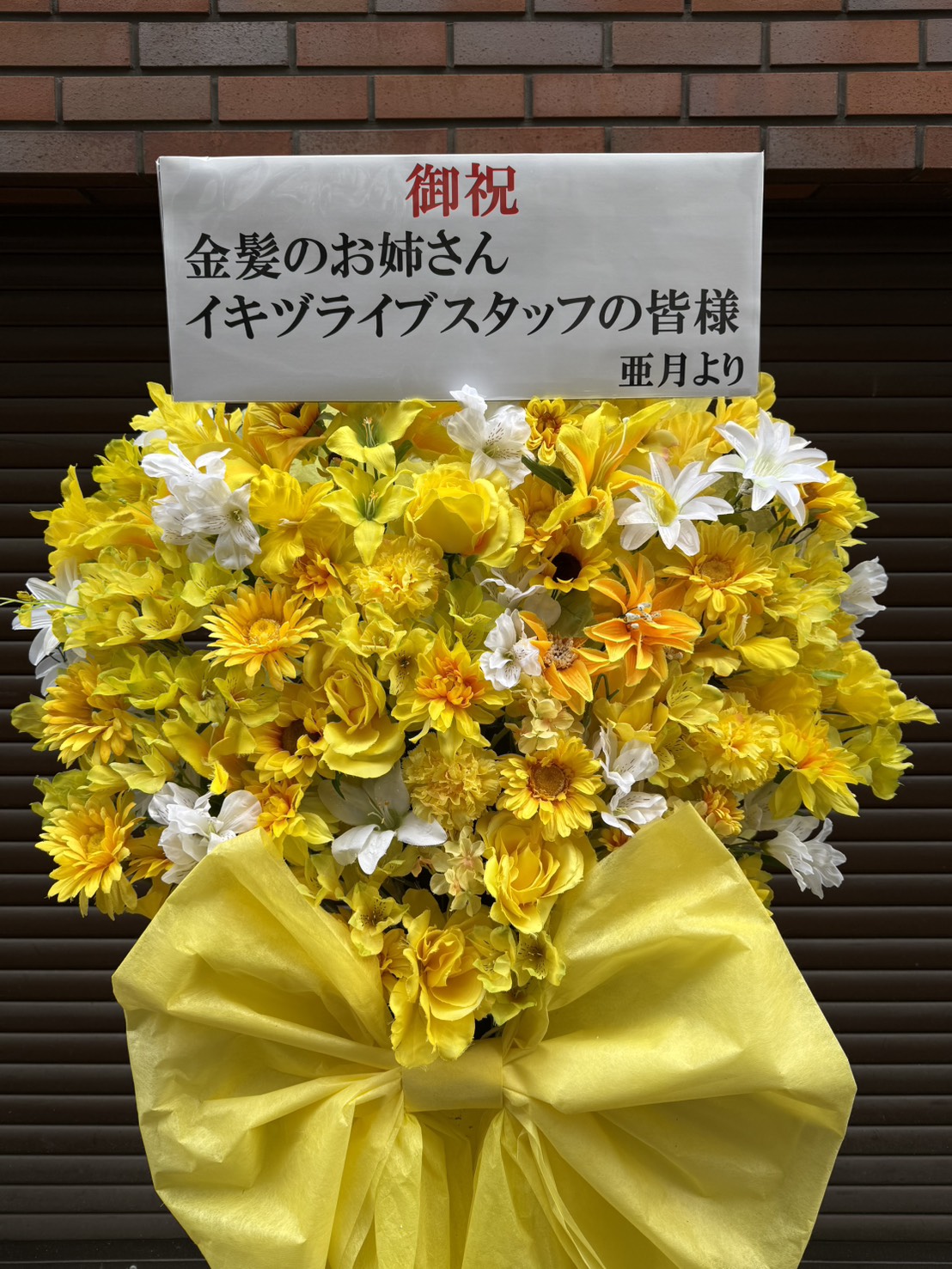 写真 2