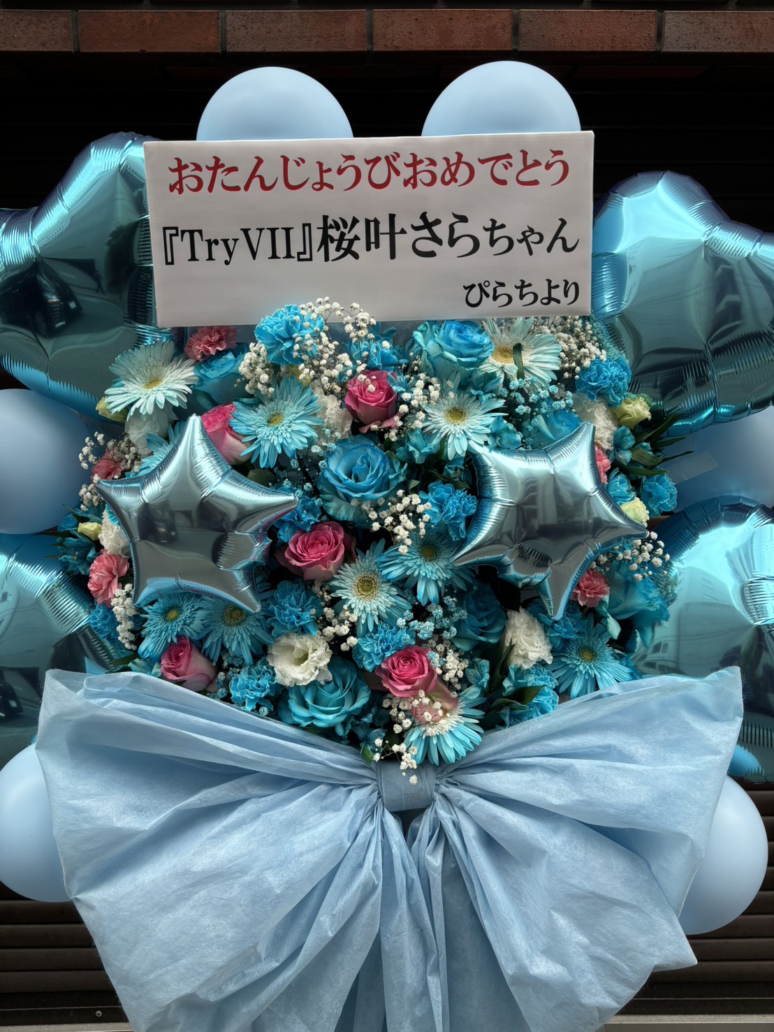 写真 2